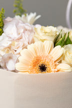 Peach Whisper Bloom Bag