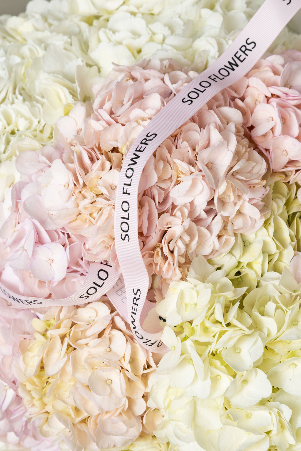 Cloud Whisper Hydrangea Bouquet