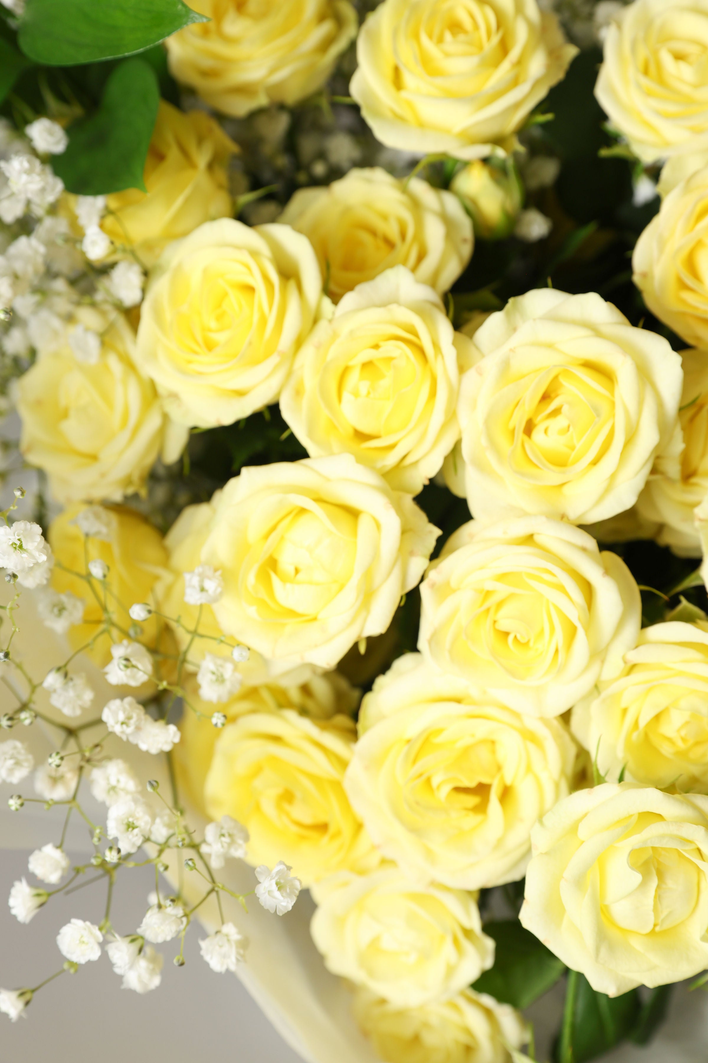 Lemon Glow Spray Roses