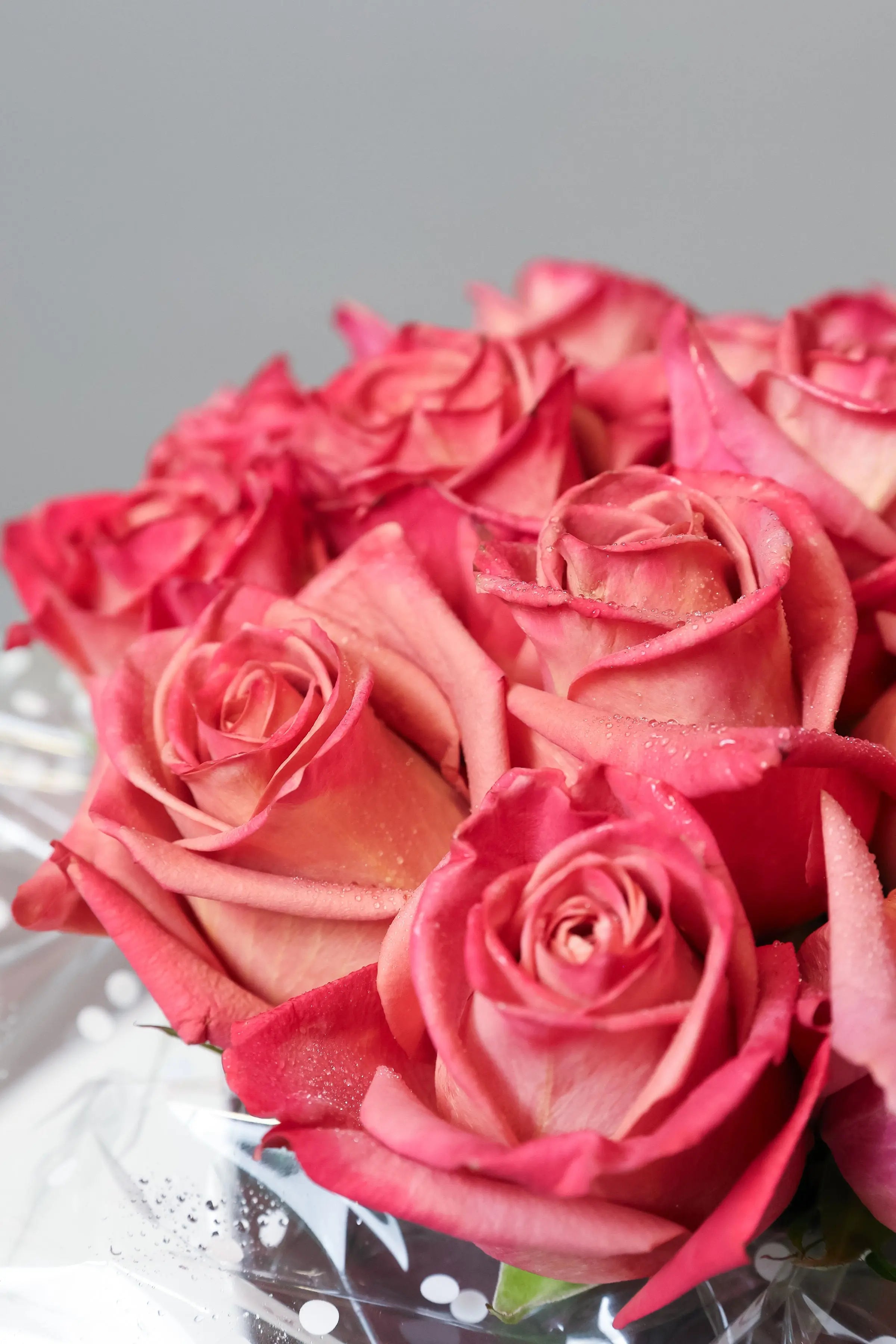 Velvet Rose Box