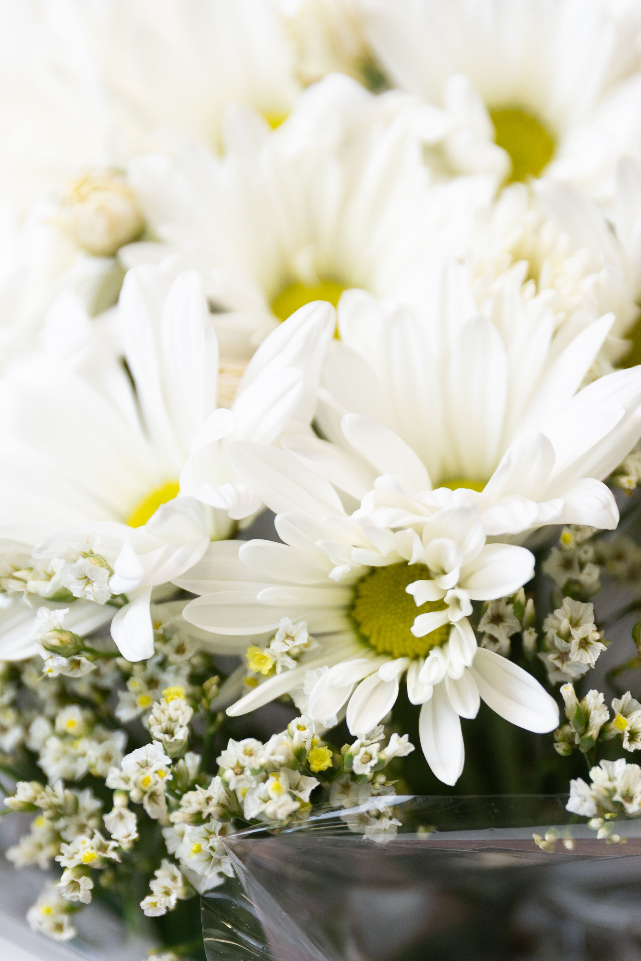 Pure Delight Daisy Box