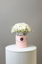 Pure Delight Daisy Box