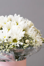 Pure Delight Daisy Box