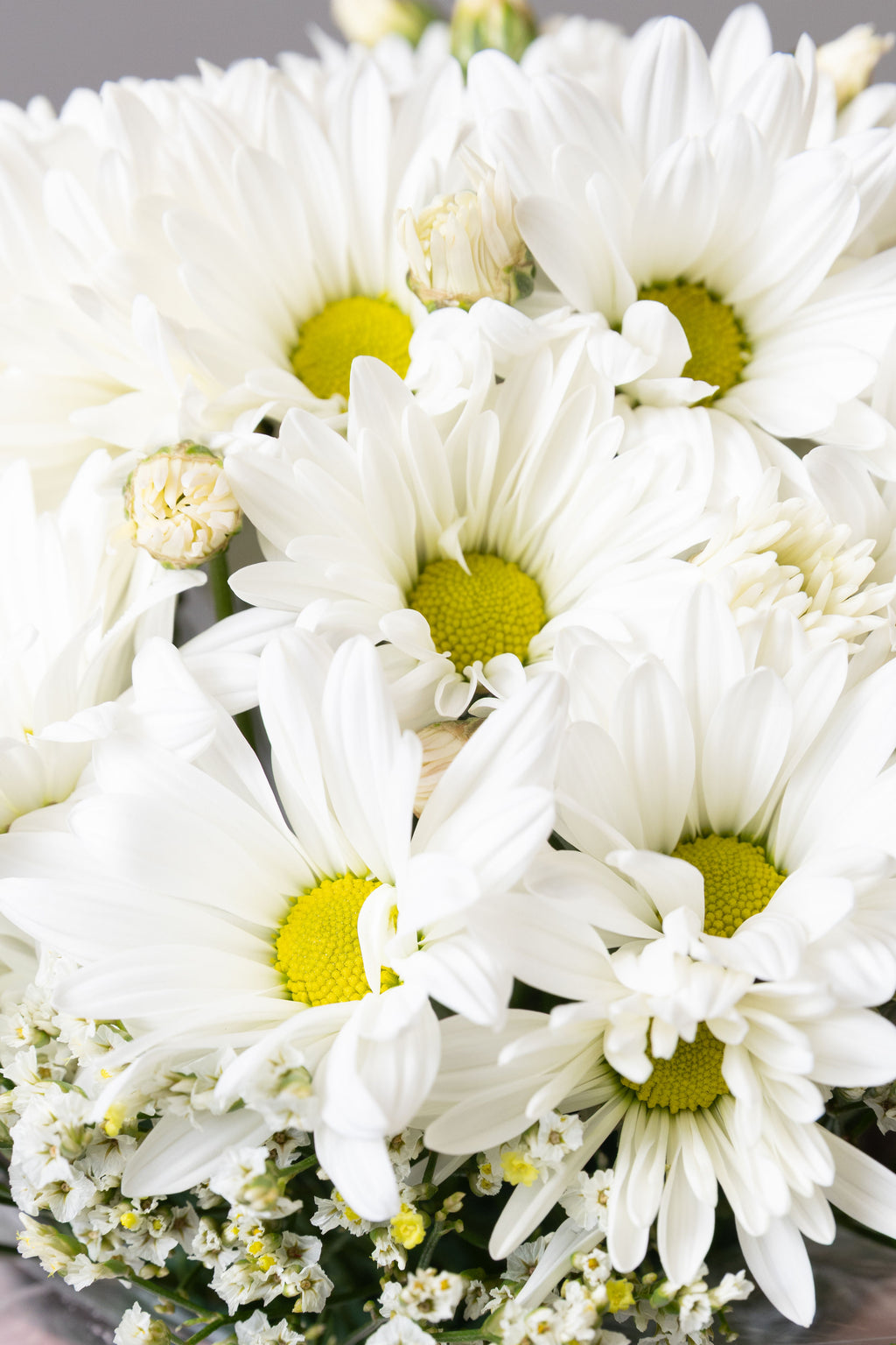 Pure Delight Daisy Box