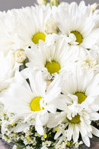 Pure Delight Daisy Box