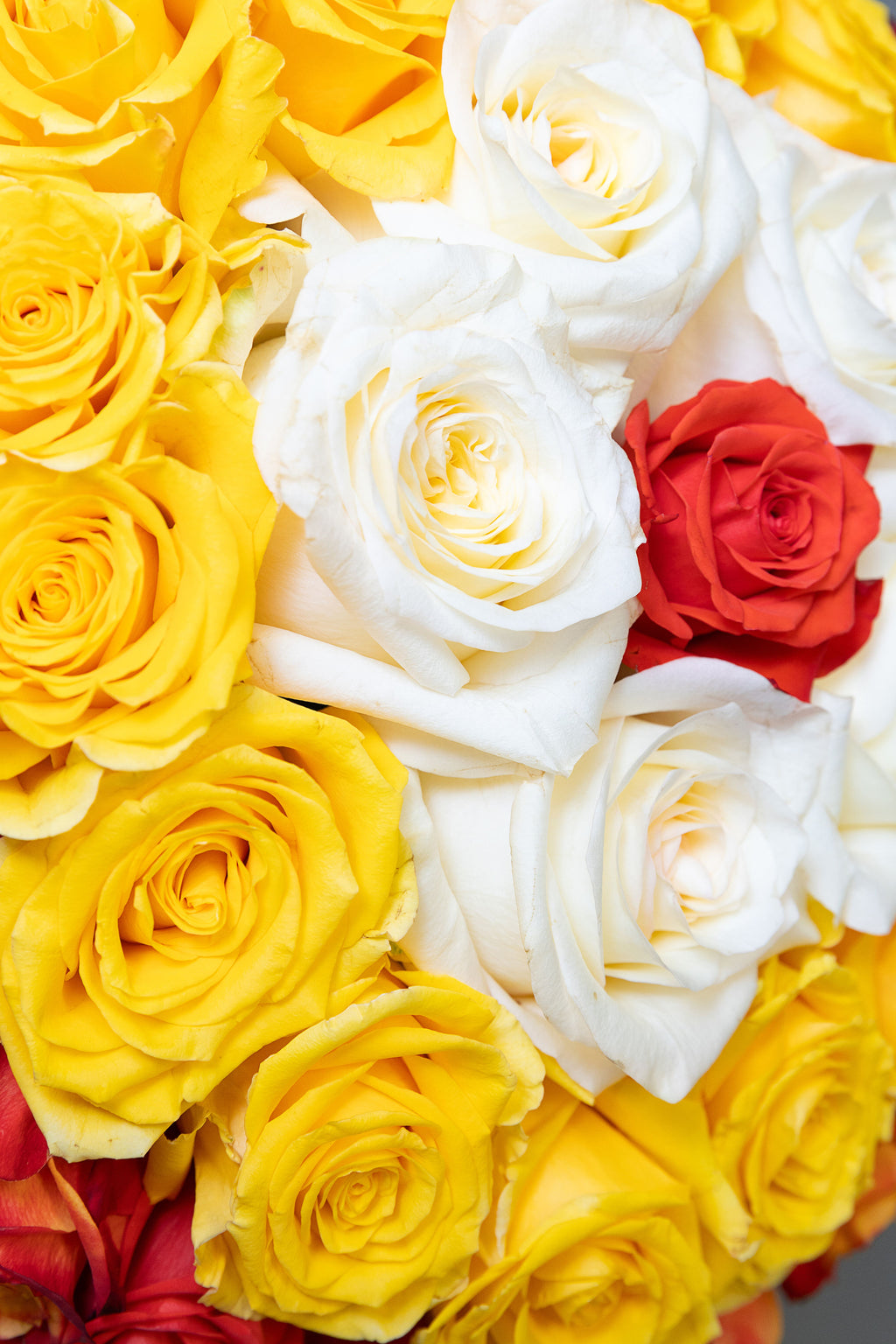 Sunset Harmony Rose Box