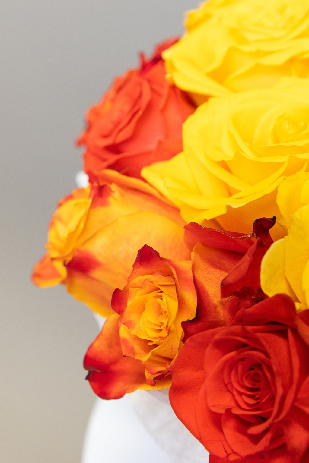 Sunset Harmony Rose Box