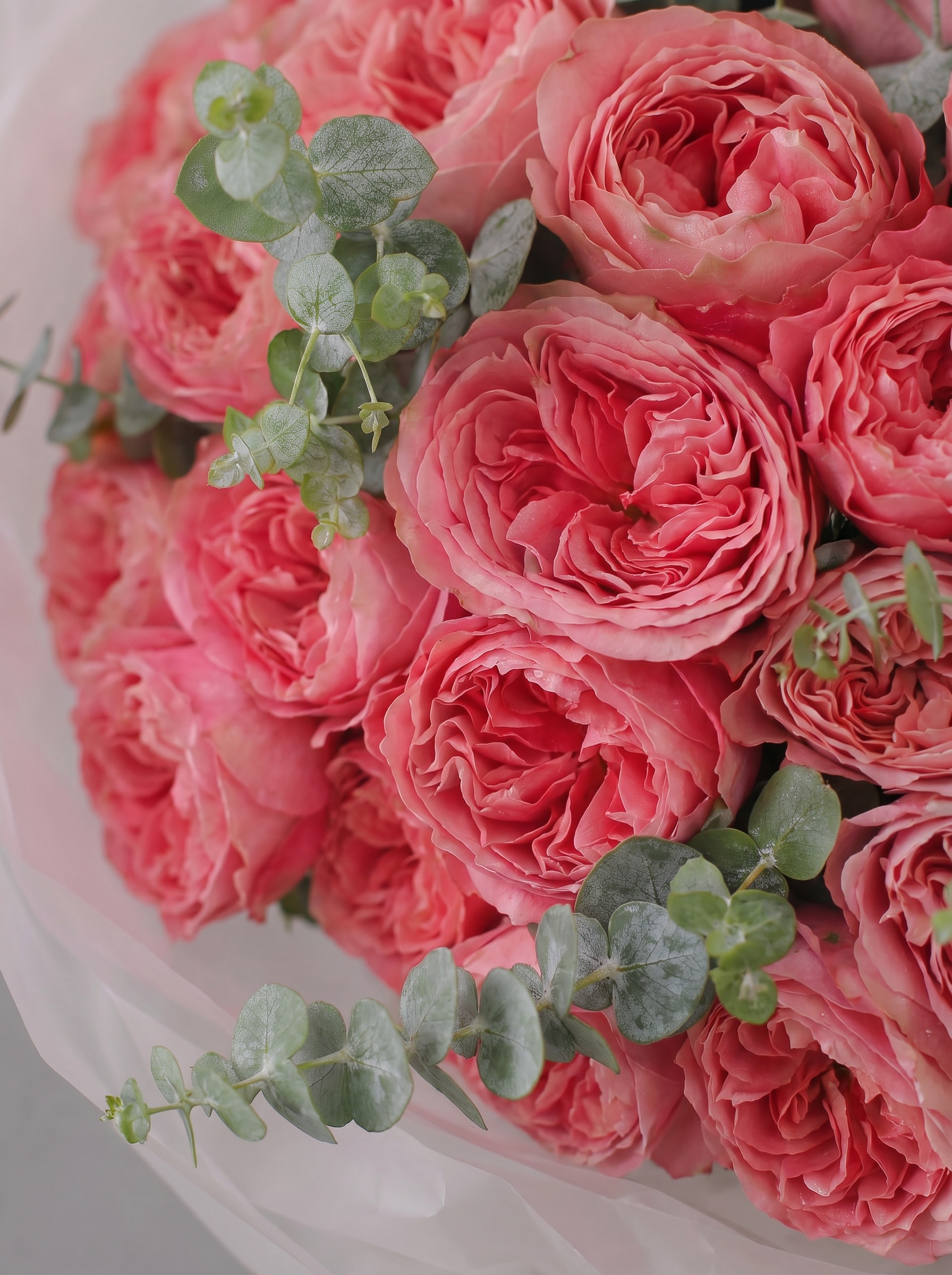 Coral Garden Rose Bouquet