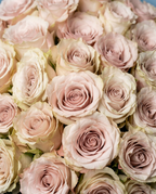 Blush Ivory Rose Bouquet